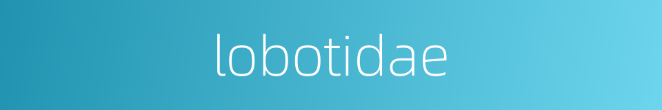 lobotidae的同义词