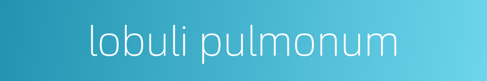 lobuli pulmonum的同义词