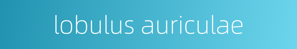 lobulus auriculae的同义词