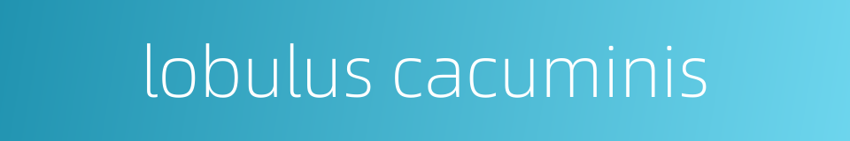 lobulus cacuminis的同义词