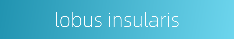 lobus insularis的同义词