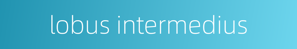 lobus intermedius的同义词