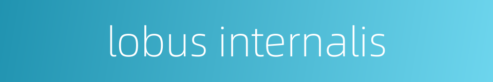 lobus internalis的同义词