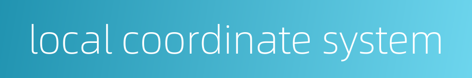 local coordinate system的同义词
