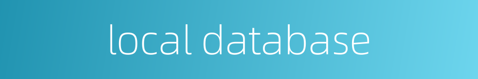 local database的同义词