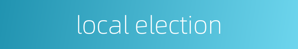 local election的同义词