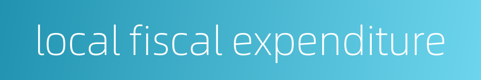 local fiscal expenditure的同义词