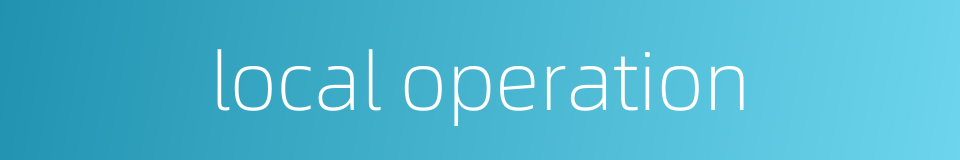 local operation的同义词