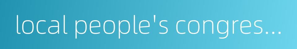 local people's congresses at various levels的同义词