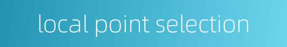 local point selection的同义词