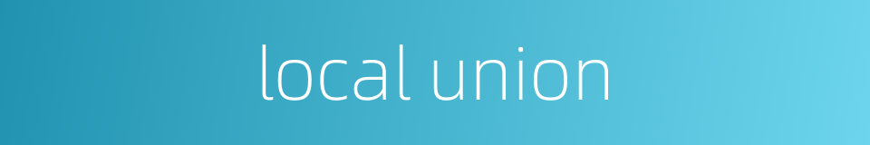 local union的同义词