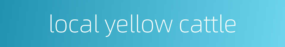local yellow cattle的同义词