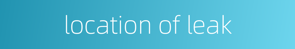 location of leak的同义词