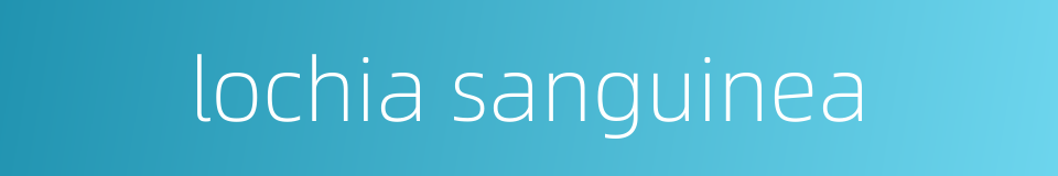 lochia sanguinea的同义词