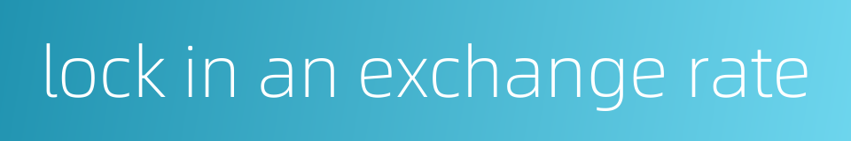 lock in an exchange rate的同义词