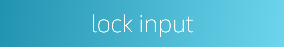 lock input的同义词