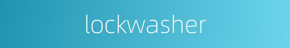 lockwasher的同义词