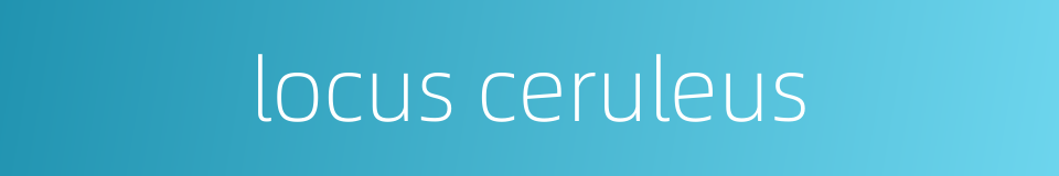 locus ceruleus的同义词