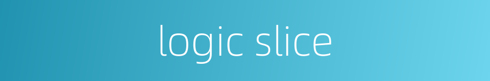 logic slice的同义词