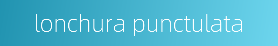 lonchura punctulata的同义词