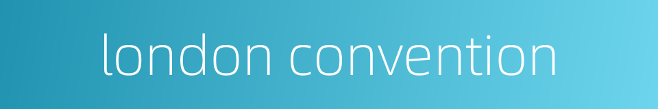 london convention的同义词
