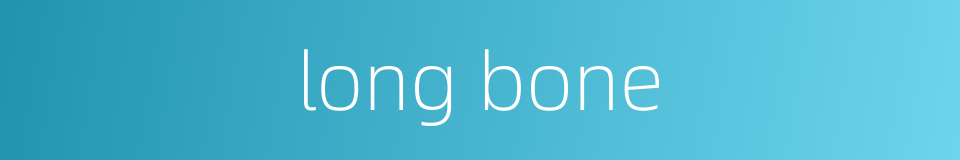 long bone的同义词