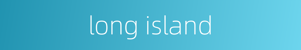 long island的同义词