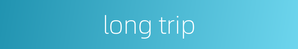 long trip的同义词