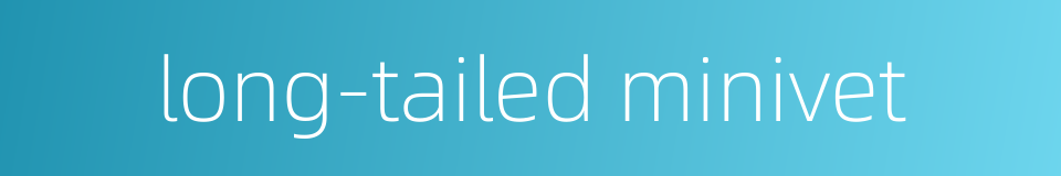 long-tailed minivet的同义词