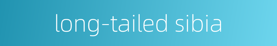 long-tailed sibia的同义词