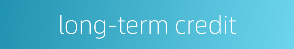 long-term credit的同义词