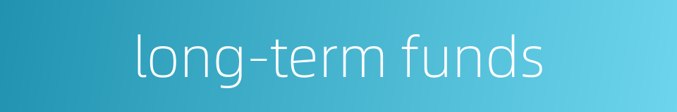 long-term funds的同义词