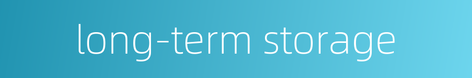 long-term storage的同义词