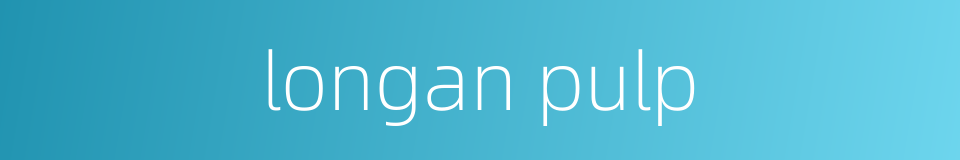 longan pulp的同义词