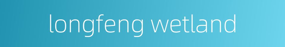 longfeng wetland的同义词