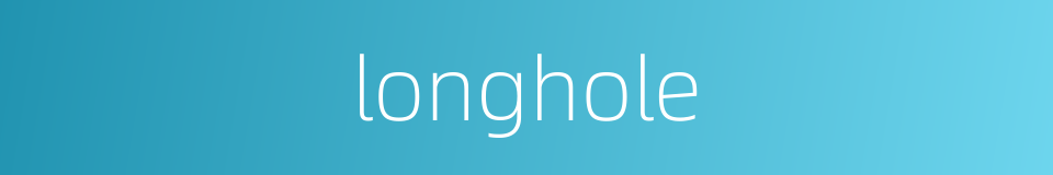 longhole的同义词