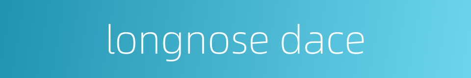 longnose dace的同义词