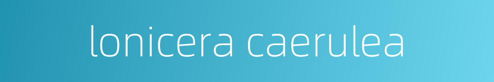lonicera caerulea的同义词