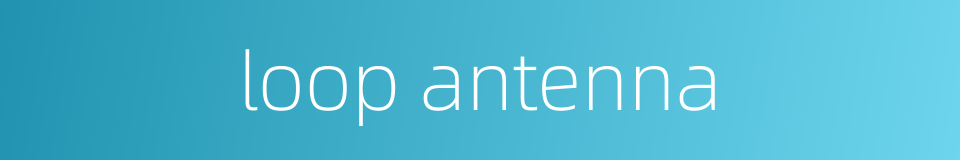 loop antenna的同义词