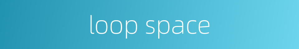 loop space的同义词
