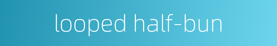 looped half-bun的同义词