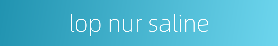 lop nur saline的同义词