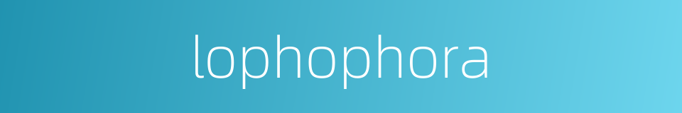 lophophora的同义词