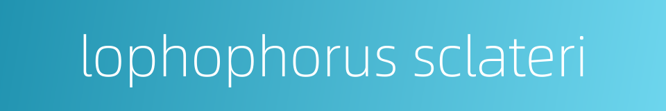 lophophorus sclateri的同义词