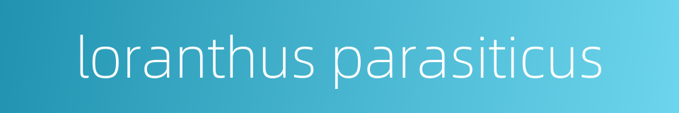 loranthus parasiticus的同义词