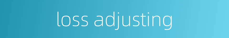 loss adjusting的同义词