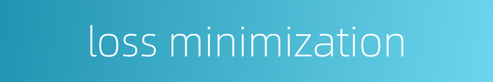 loss minimization的同义词