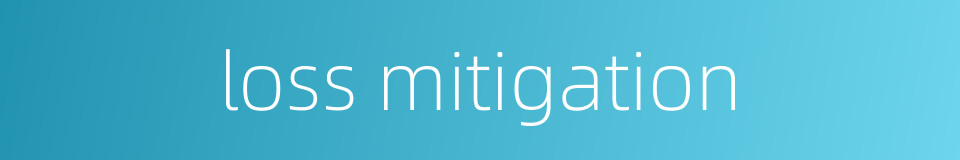 loss mitigation的同义词