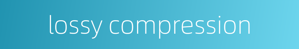 lossy compression的同义词