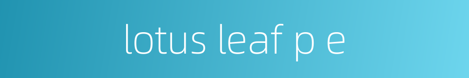 lotus leaf p e的同义词